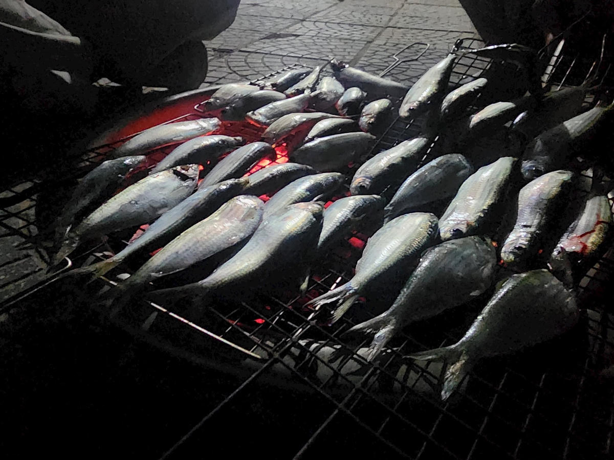 anh-bai-duoi.jpg