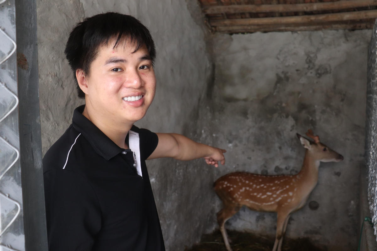 Với số vốn đã tích lũy từ trước, anh Liên đã mạnh tay đổ hơn nửa tỷ đồng để thực hiện mô hình nuôi hươu sao.