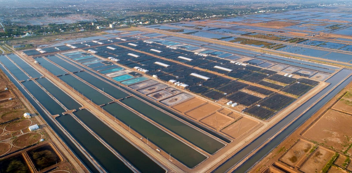 Một góc khu nông nghiệp ứng dụng công nghệ cao phát triển tôm nuôi tỉnh Bạc Liêu.