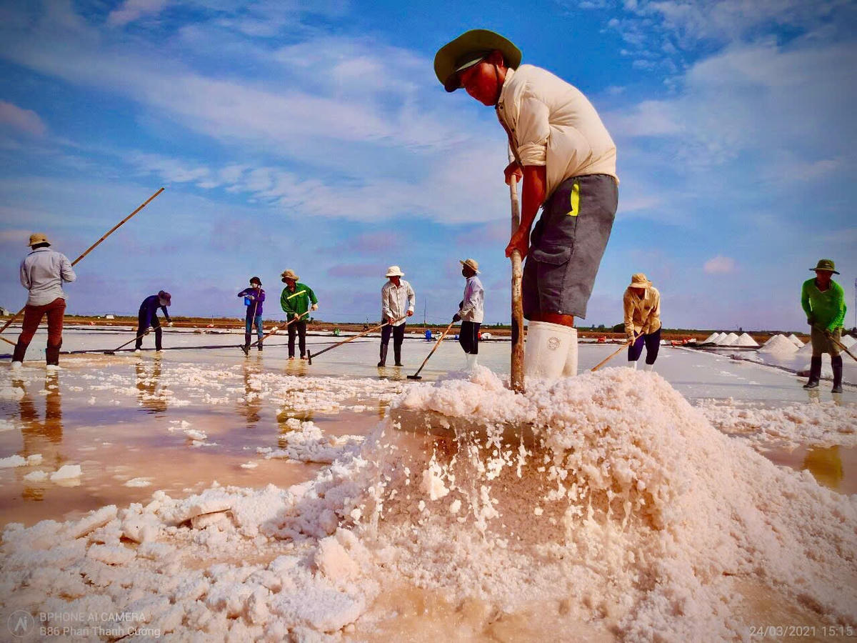 cover Đa phần người dân làng muối chỉ sản xuất theo kinh nghiệm truyền thống, chưa biết áp dụng khoa học kỹ thuật nên giá trị kinh tế không cao.