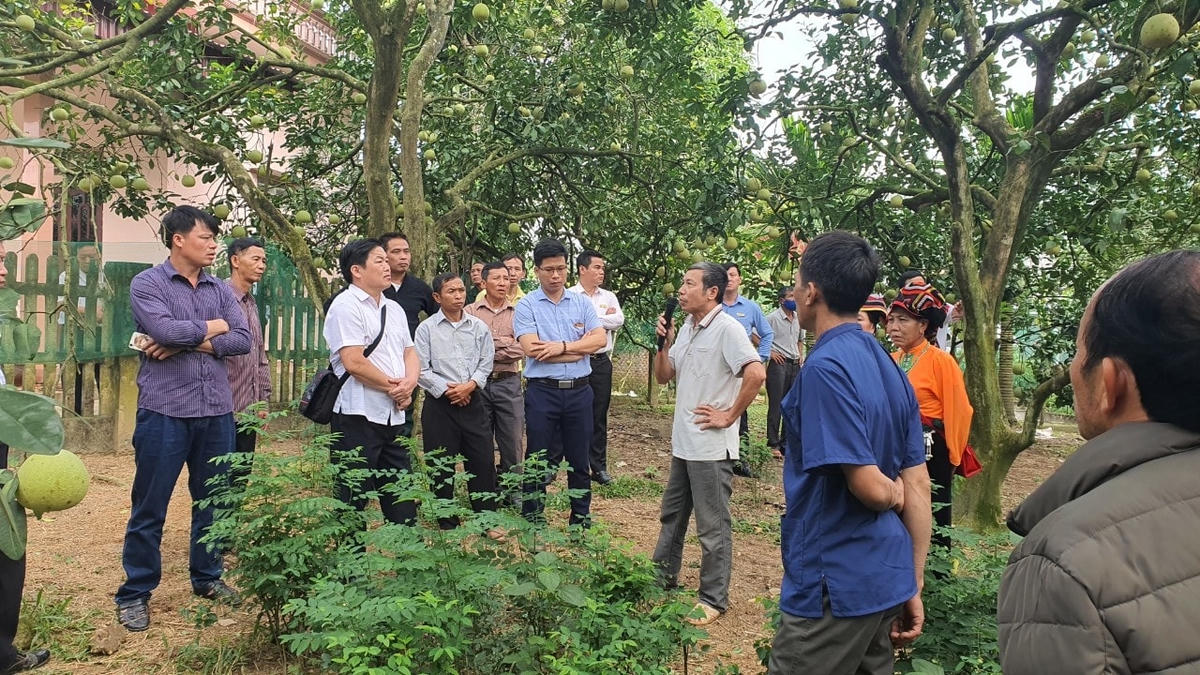 Đoàn đại biểu người có uy tín tỉnh Sơn La tìm hiểu mô hình phát triển sản xuất tại huyện Đoan Hùng, Phú Thọ. Ảnh : Đức Anh.