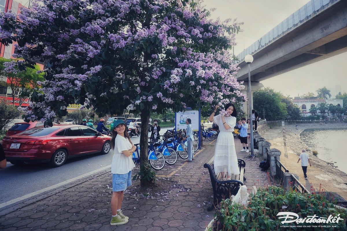 hoa_bang_lang-le-khanh10.jpg