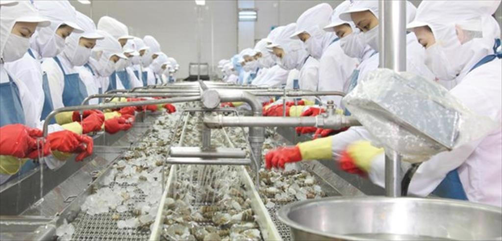 Xuất khẩu tôm dự báo gặp nhiều khó khăn trong năm 2023.