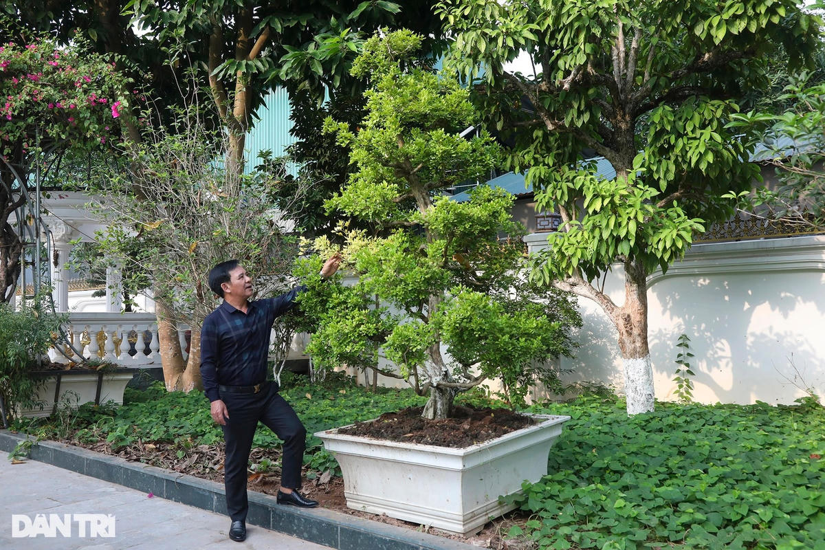 Biệt thự nhà vườn như lâu đài của "Đại gia chân đất" Quang Tèo