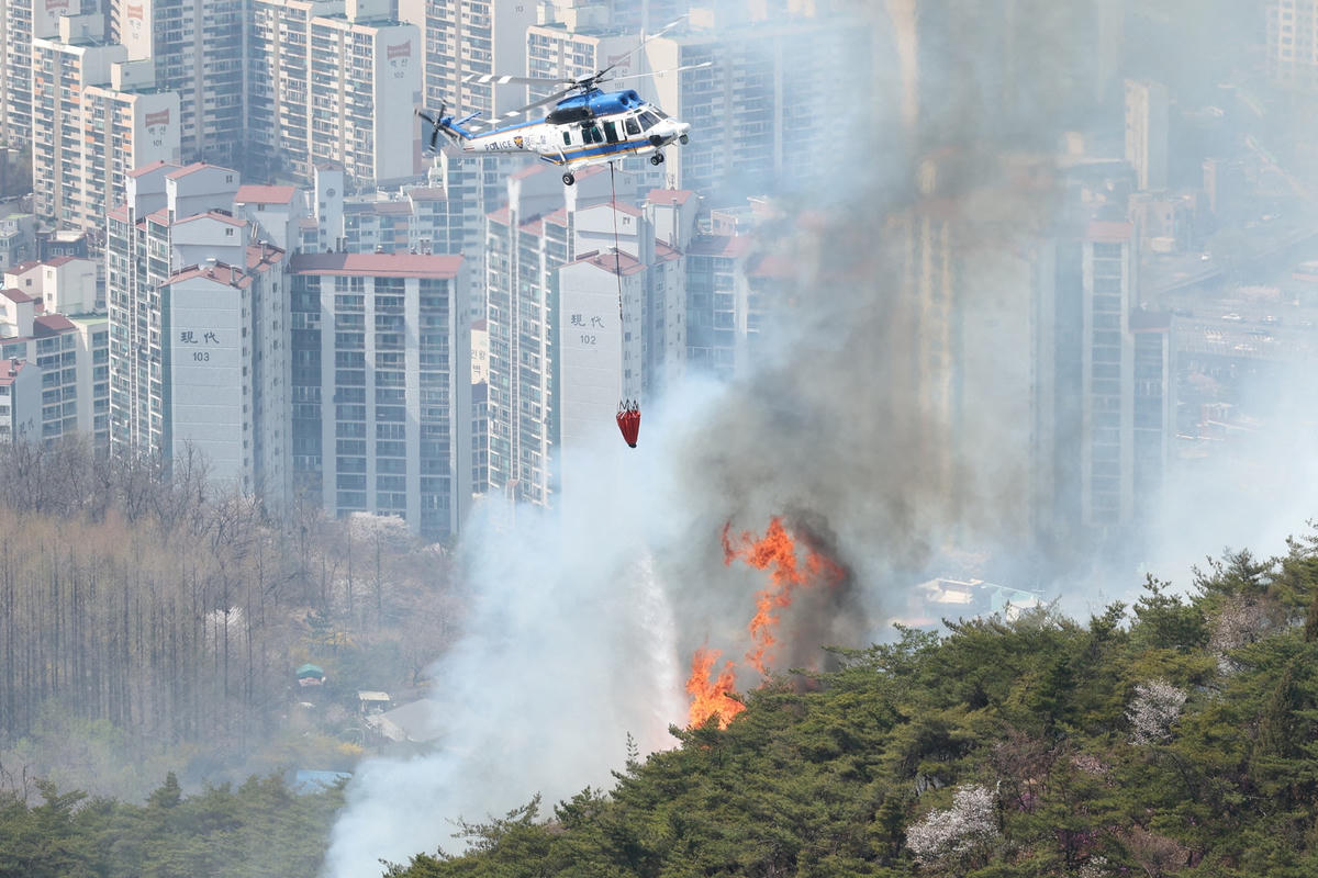Hiện trường vụ cháy rừng. Ảnh: Reuters.