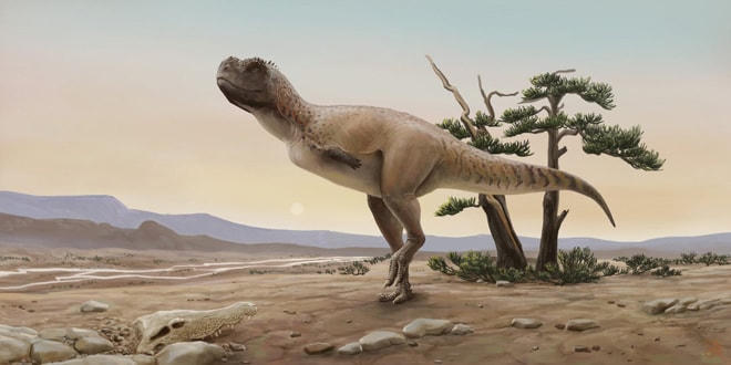 Loài khủng long abel có ngoại hình khá giống T-rex nhưng đôi tay còn “dị” hơn.