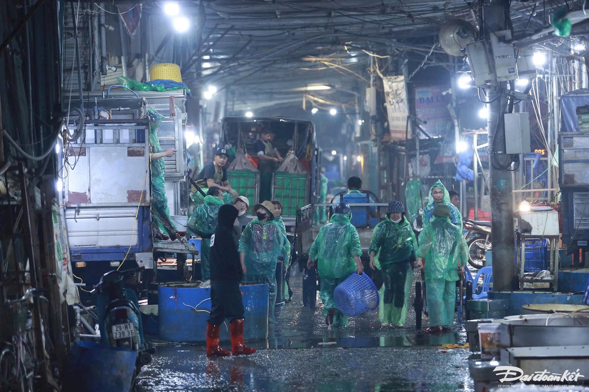 ca_chep-le-khanh23.jpg