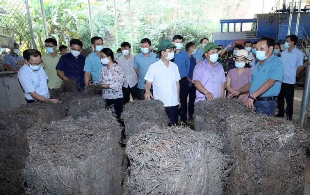 Hoạt động giám sát đã tạo sức bật cho vùng đồng bào dân tộc thiểu số.