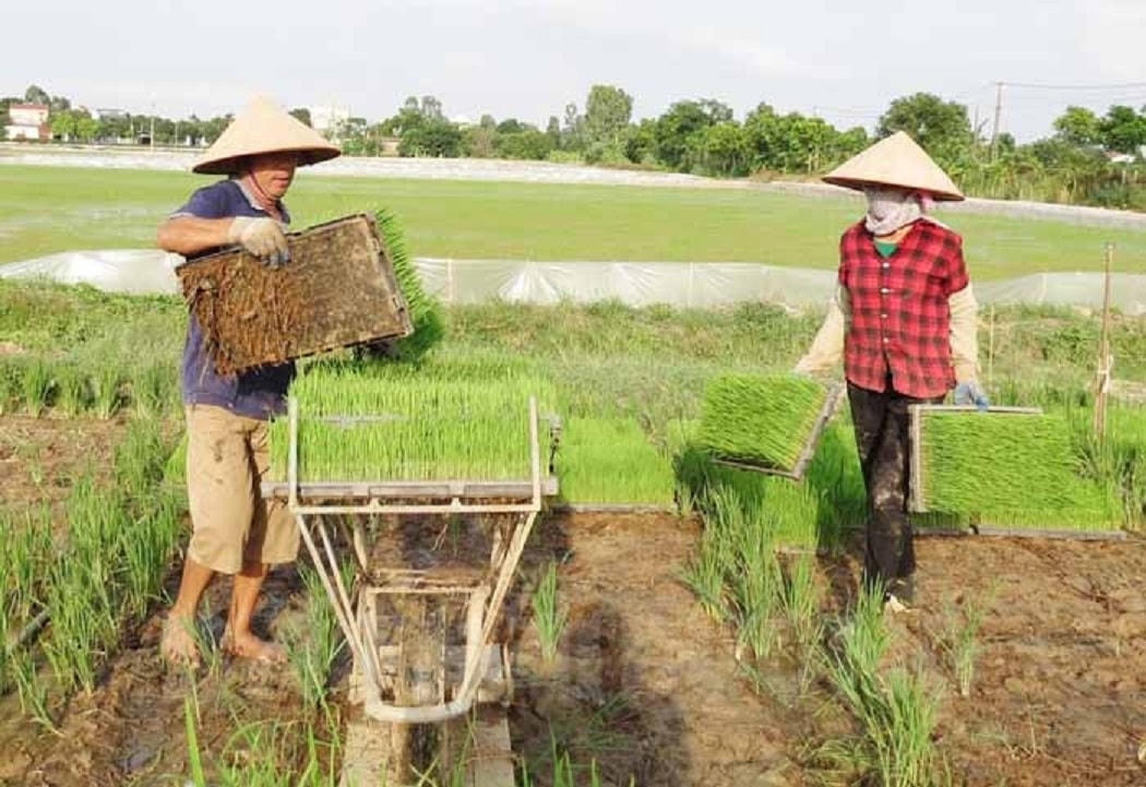Huyện Bình Giang quan tâm đẩy mạnh cơ giới hóa trong sản xuất nông nghiệp, xây dựng Nông thôn mới.  