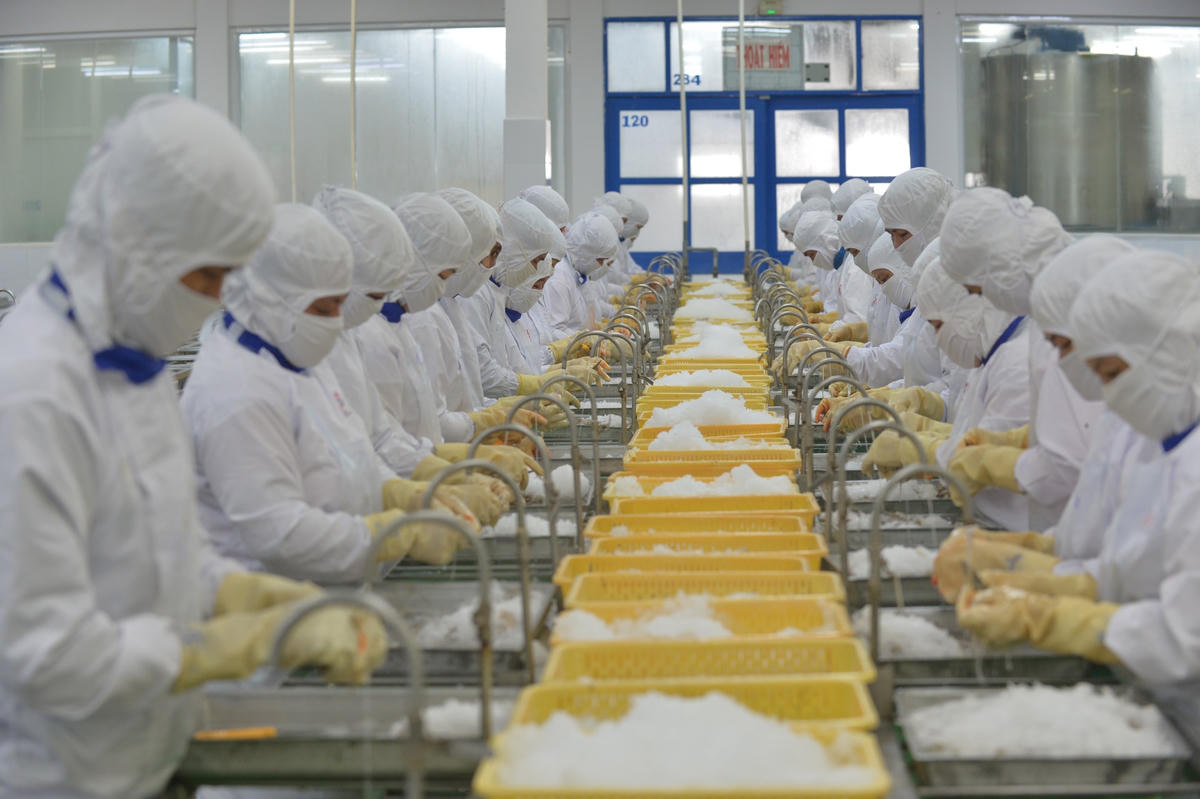 Các hiệp định thương mại tự do mở ra nhiều cơ hội để hàng Việt vươn ra thế giới, trong đó có thị trường châu Mỹ. Ảnh: Quang Vinh.