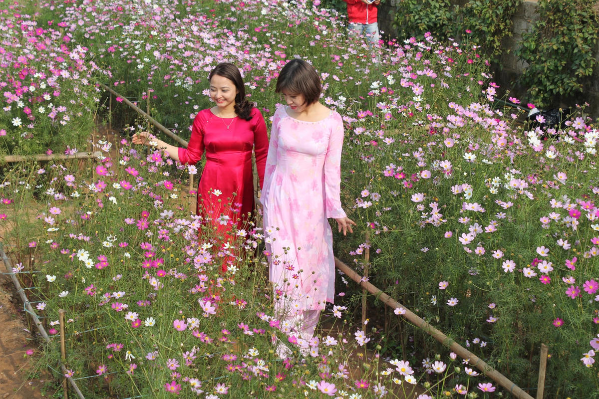 Ảnh: Việt Khánh.