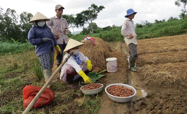 Triển khai các giải pháp hỗ trợ sinh kế cho người nghèo, để họ có điều kiện vươn lên thoát nghèo bền vững.