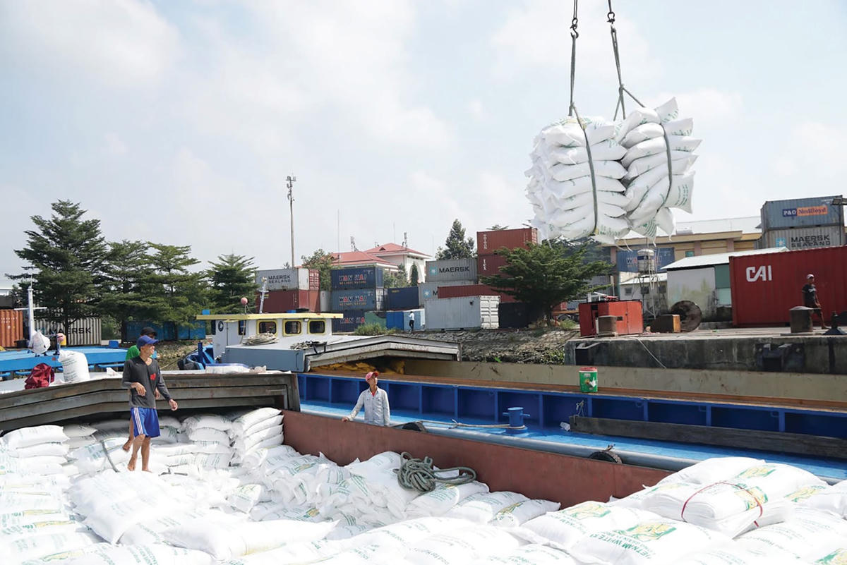 Trong 6 tháng đầu năm, xuất khẩu gạo đến nhiều thị trường tăng trưởng rõ nét. Ảnh: Quang Vinh.