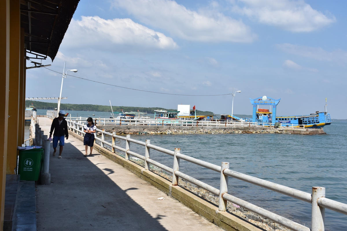 TP HCM đang có kế hoạch xây dựng hệ sinh thái xanh Cần Giờ.