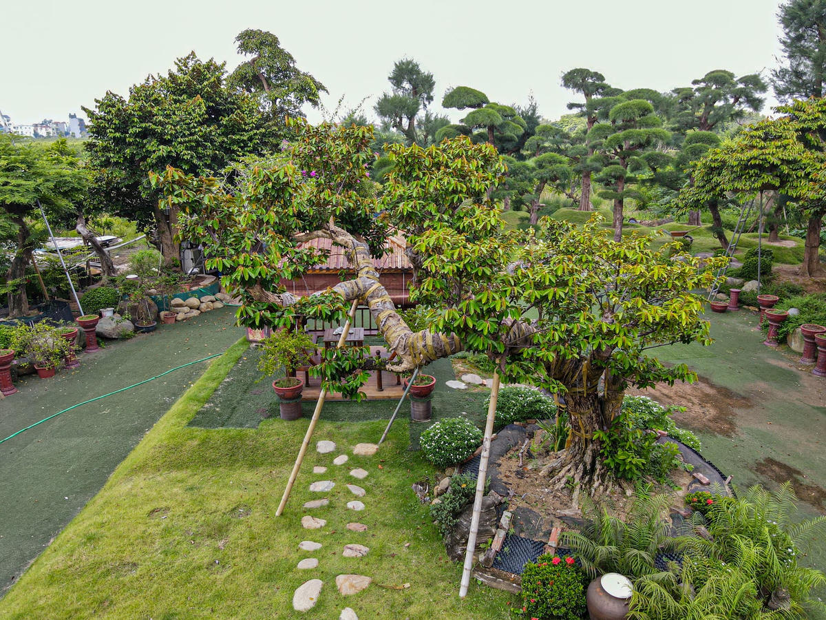 Khu vườn này thuộc sở hữu của anh Nguyễn Hải Đăng, chủ thương hiệu gốm nổi tiếng Lạc Việt Bát Tràng chuyên sản xuất các sản phẩm về gốm, cung cấp sản phẩm quà tặng bằng gốm và bộ đồ ăn cho rất nhiều các tập đoàn lớn...