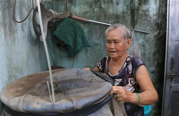 Người dân che đậy dụng cụ chứa nước, không để muỗi có chỗ sinh sản.