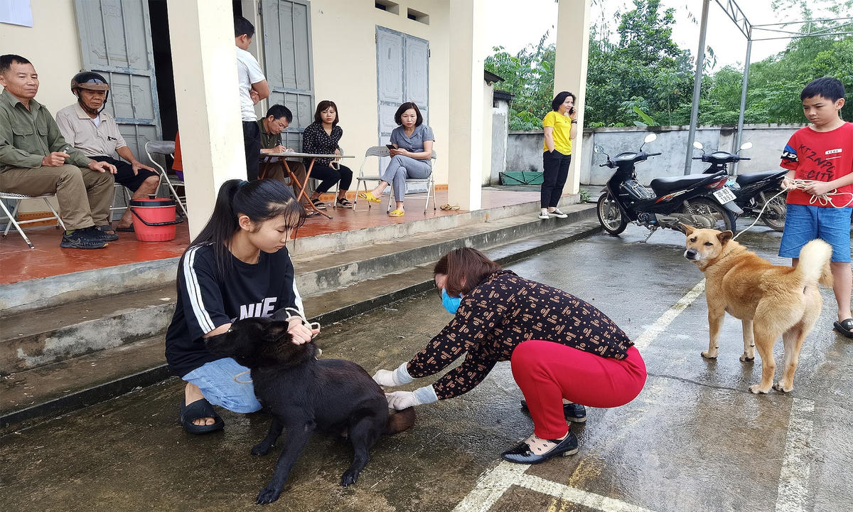 Tiêm phòng cho chó, mèo là biện pháp hữu hiệu để kiểm soát bệnh dại.
