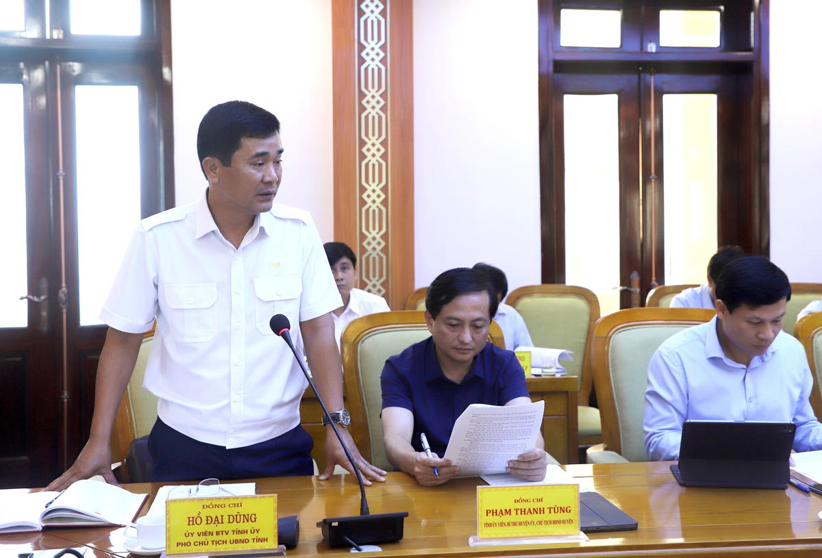 Phó Chủ tịch UBND tỉnh Hồ Đại Dũng phát biểu tại buổi làm việc. Ảnh: Ngọc Tuấn.