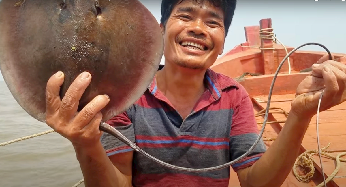 Ảnh 2-Ngư dân miền Tây được mùa cá đuối