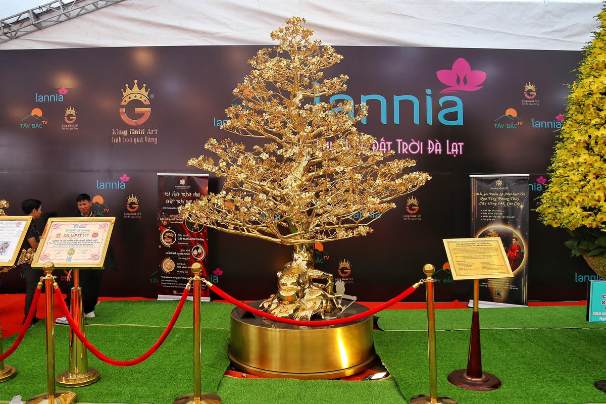 Cây hoa mai mạ vàng 24K gồm 1.715 bông hoa, 1.270 nụ nhỏ, 16 cành chính và 505 cành phụ được chế tạo thủ công hoàn toàn đang được chào bán tại gian hàng hoa Tết trước sân vận động Mỹ Đình.