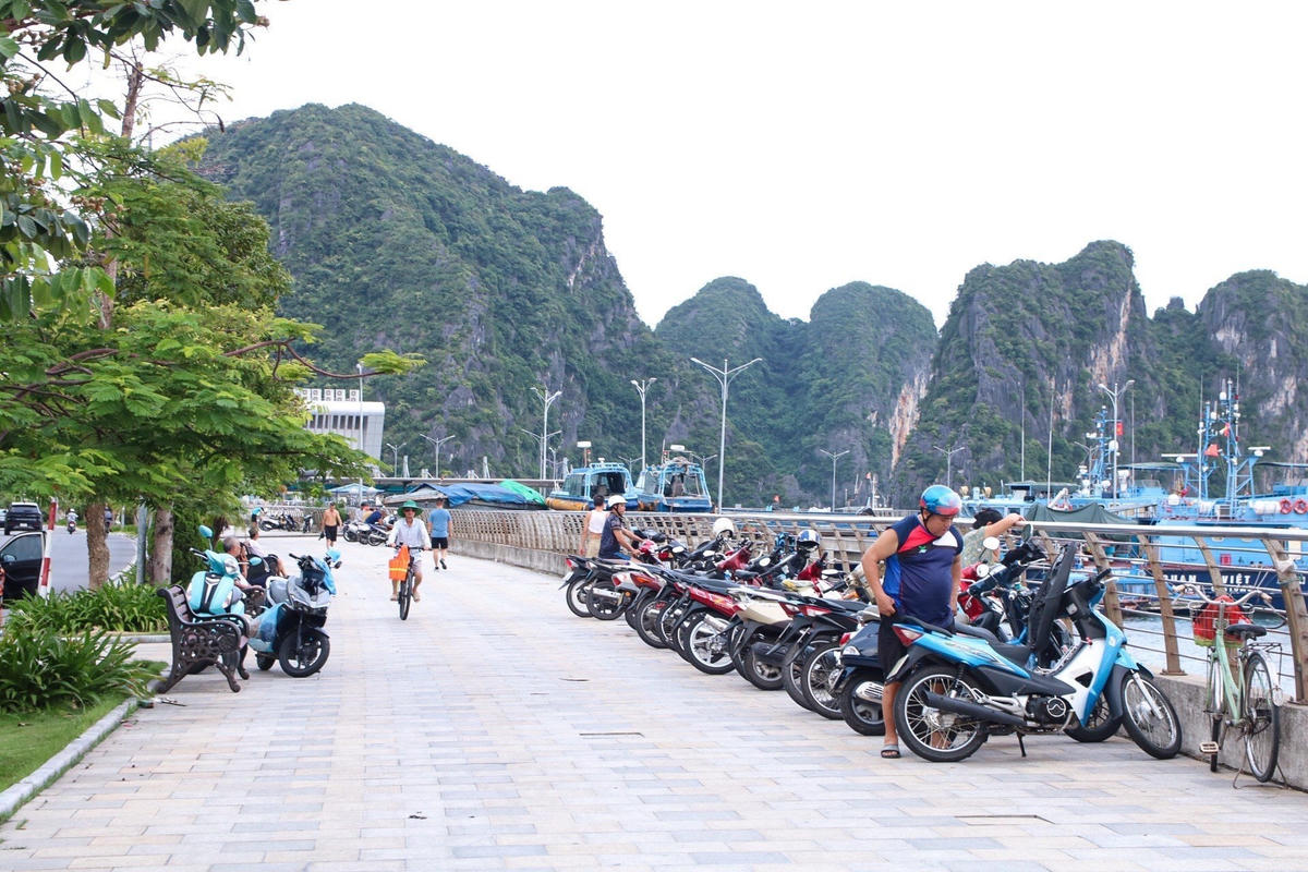 Vào sáng sớm và chiều muộn hàng ngày, vỉa hè của tuyến đường bao biển khu vực bến Đoan trở thành khu để xe của người dân xuống tắm biển “chui”. Mặc dù đây là khu vực ra vào của tuyến đường thủy nội địa, có mực nước biển sâu và chính quyền phường cắm biển “cấm tắm”.