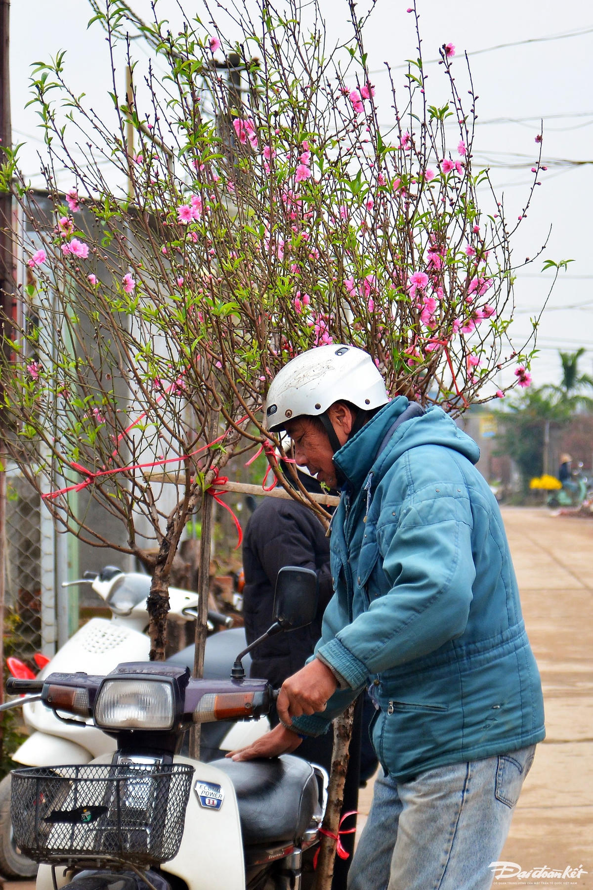 W_dao_nhat_tan-le-khanh8.jpg