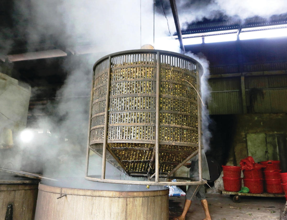 Những nồi cau đã luộc chín được đem ra ngoài.  