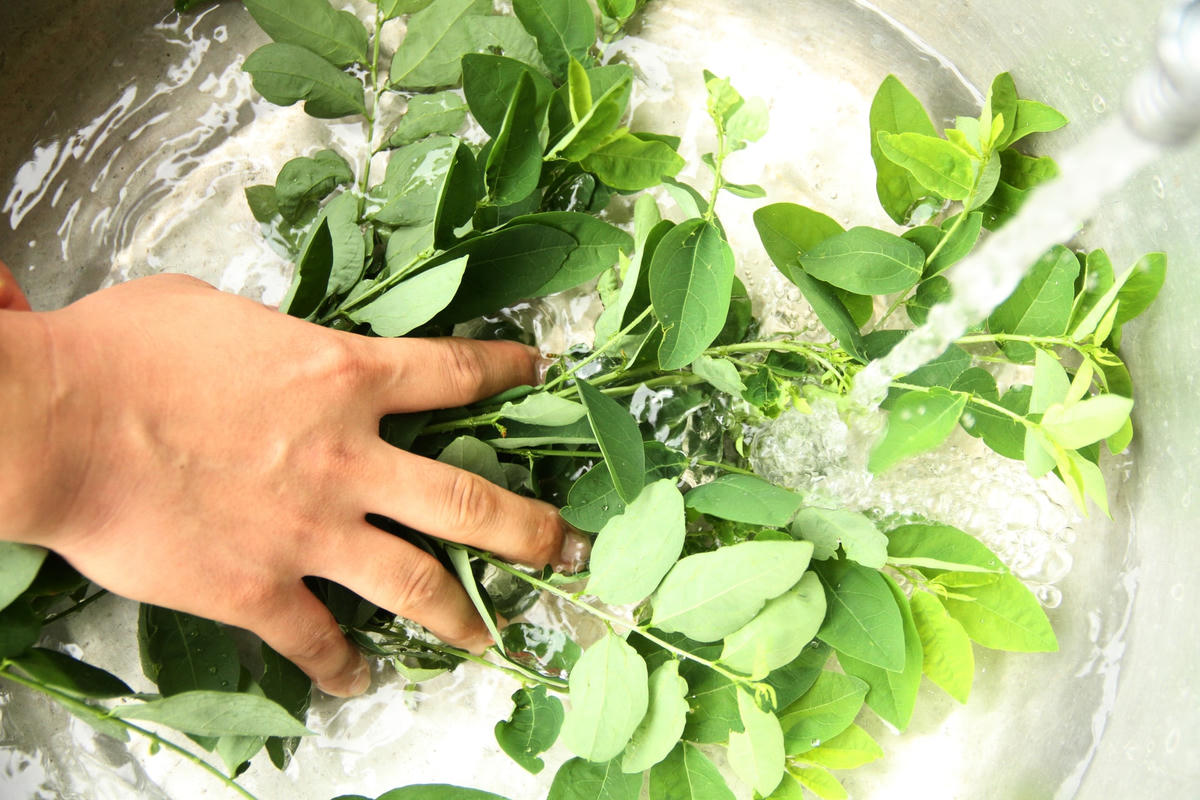 Có nguồn nước sạch, người dân yên tâm hơn trong vấn đề sức khoẻ.