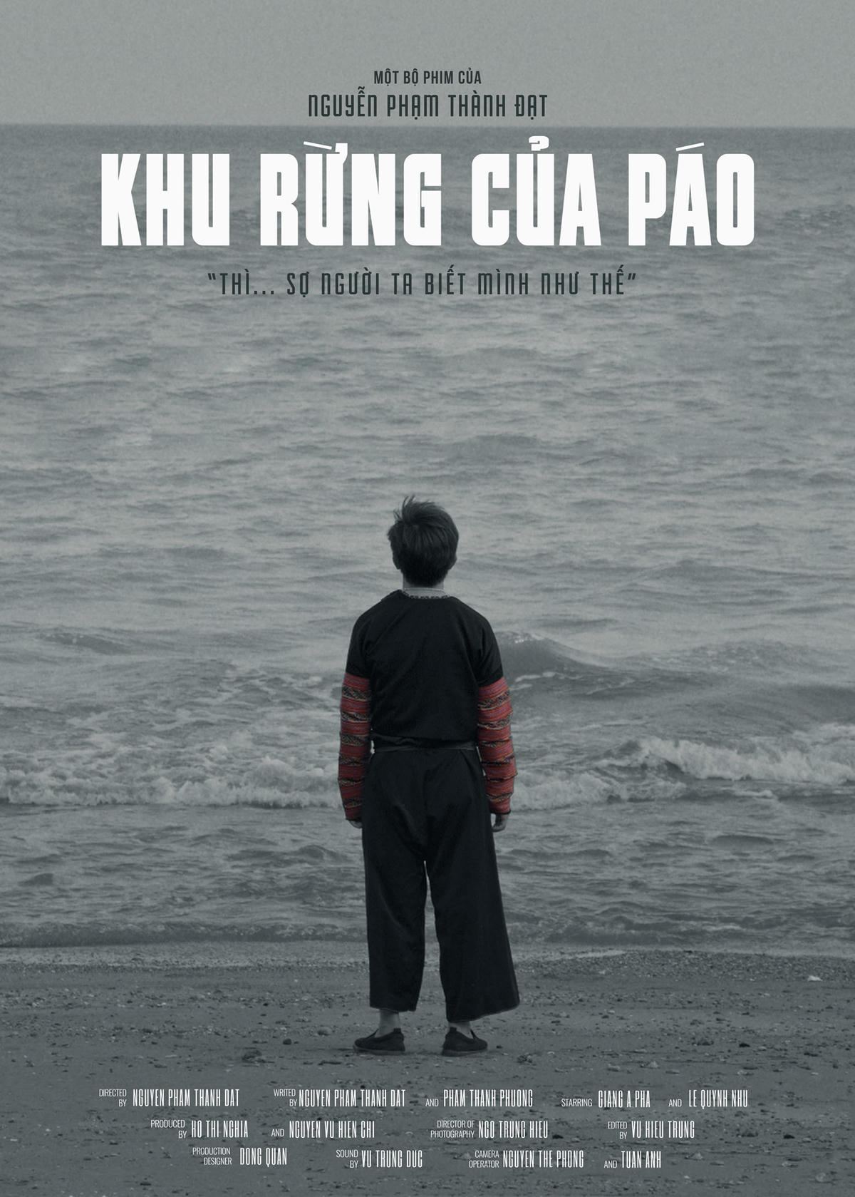 Phim “Khu rừng của Páo” giành giải Nhất cuộc thi phim ngắn Việt Nam của tôi.
