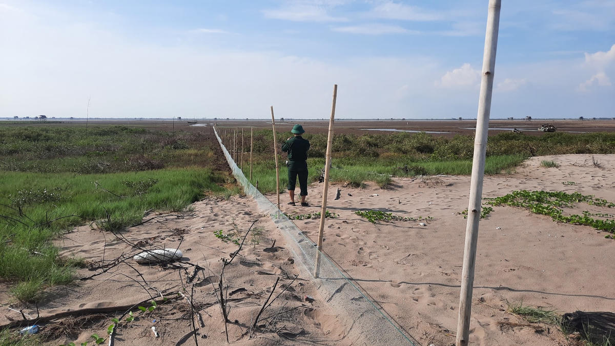 Cát bị hút, đầm bãi bị cải tạo phủ cát trong Vườn.