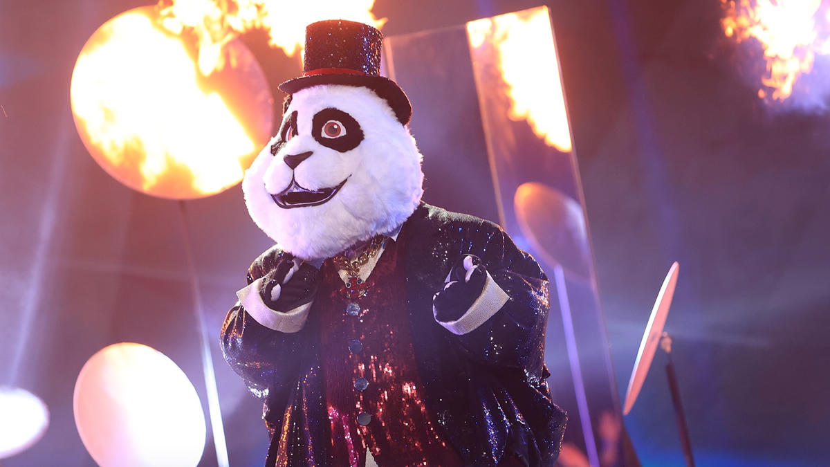 Bố Gấu có màn lột xác về giao diện phong độ với bộ vest lấp lánh màu sắc cùng “hệ điều hành mới” đầy năng động.