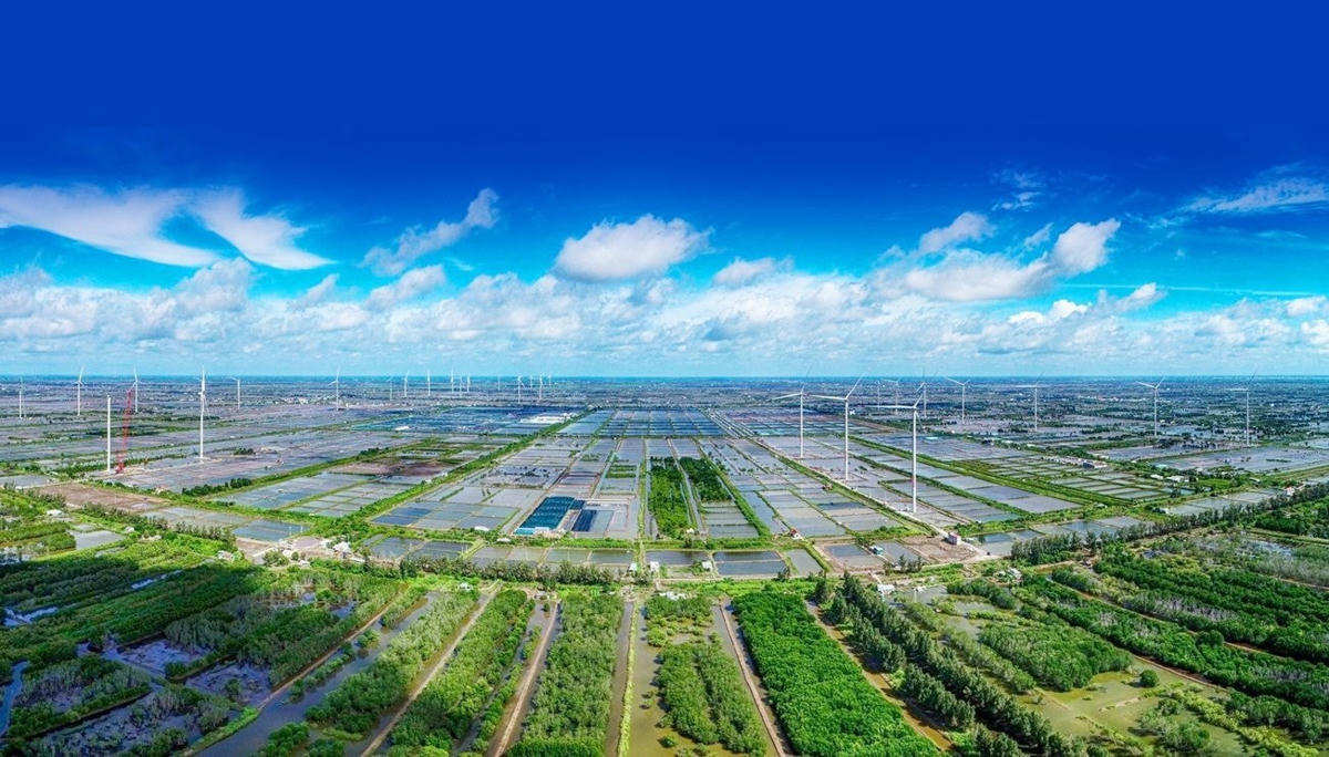 Doanh nghiệp FDI giữ vai trò quan trọng trong thúc đẩy tăng trưởng xanh tại Việt Nam. Ảnh: TL.