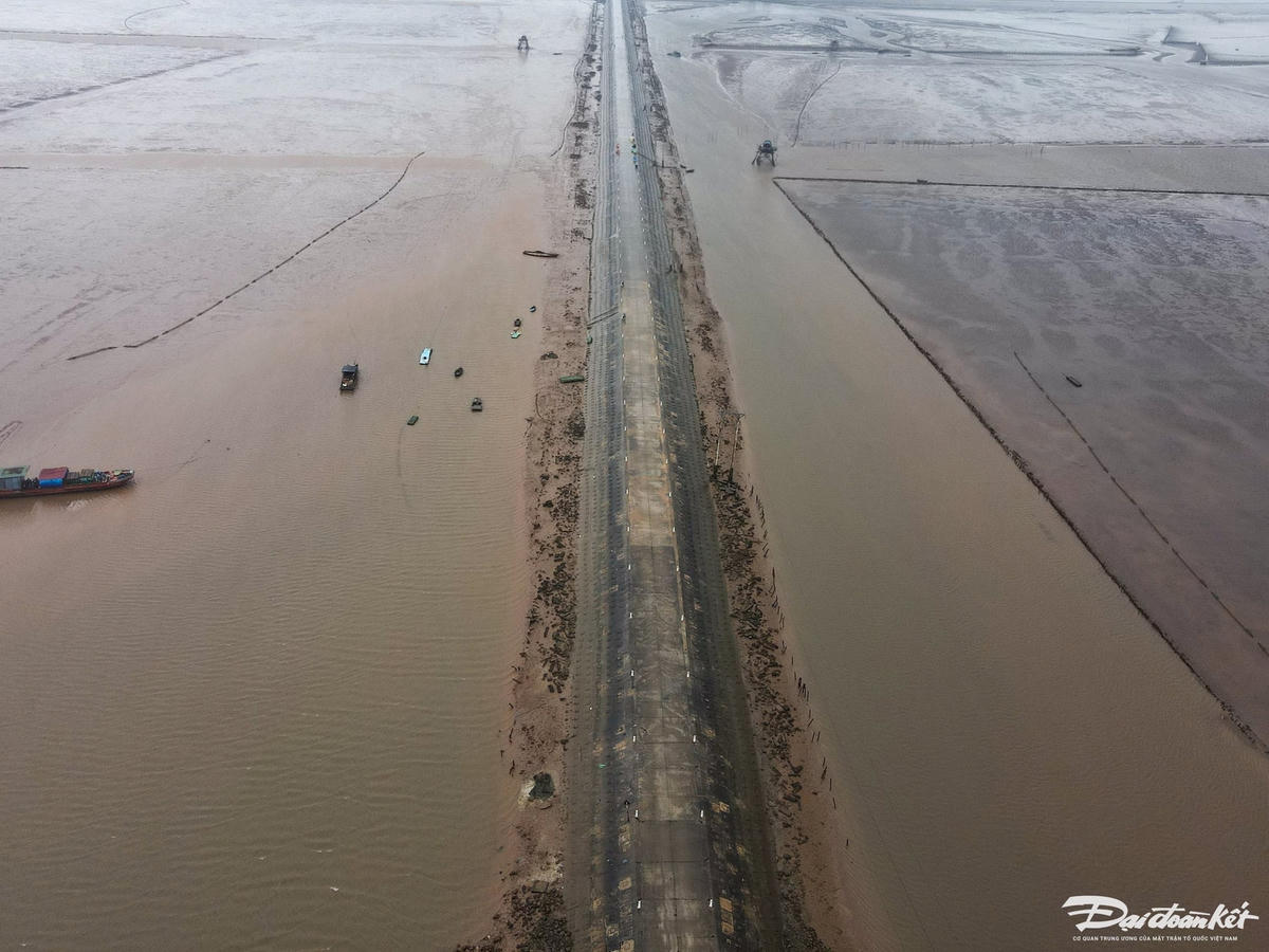dji_fly_20240319_134904_741_1710830953123_photo.jpg