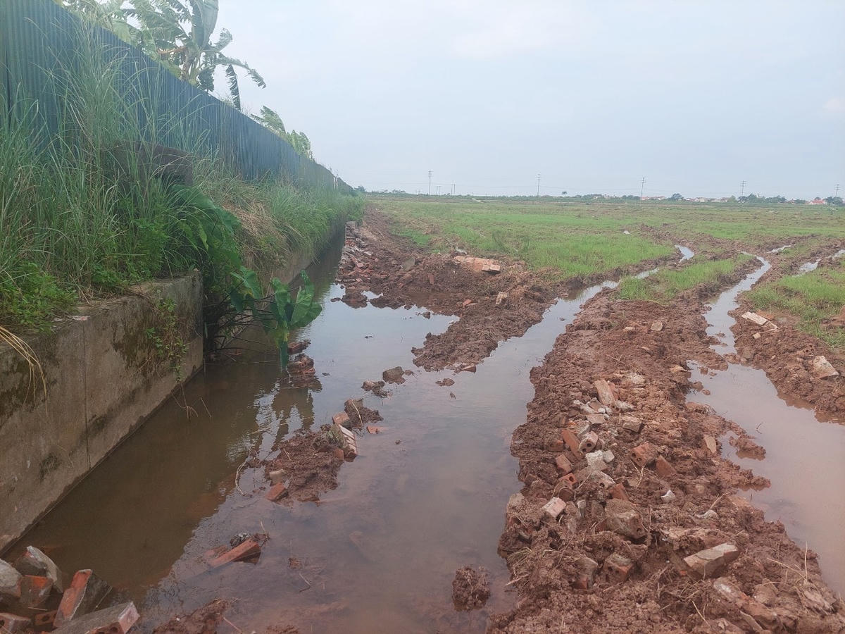 Kênh mương duy nhất phục vụ tưới cho khoảng 60ha đã bị đơn vị thi công KCN Trung Hà tự ý phá dỡ mất gần 400m
