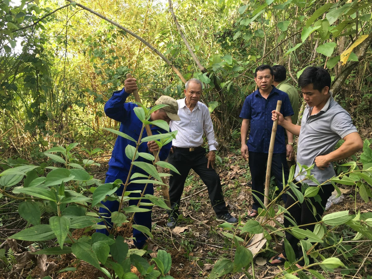 Trung tướng Hoàng Thành Hưng cùng các đồng đội đi tìm mộ liệt sĩ hy sinh tại Lào.