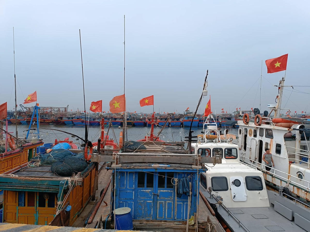 Tàu thuyền tại tỉnh Quảng Bình đã tìm nơi neo đậu, tránh trú an toàn. Ảnh: Đăng Khôi.