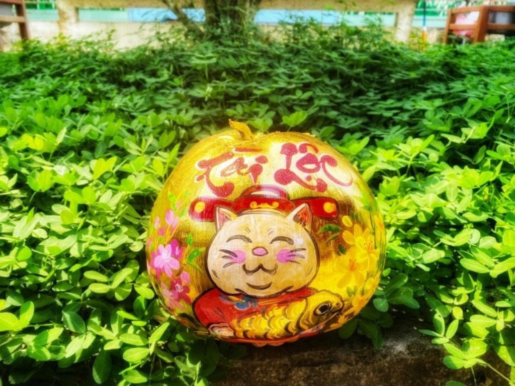 Những hình ảnh ngộ nghĩnh. 