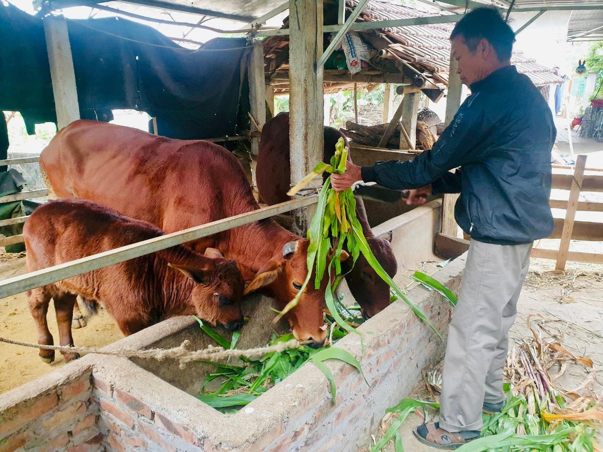 Mô hình giảm nghèo là các giải pháp hỗ trợ để người nghèo, cộng đồng nghèo tổ chức các hoạt động sản xuất, kinh doanh nâng cao chất lượng cuộc sống.
