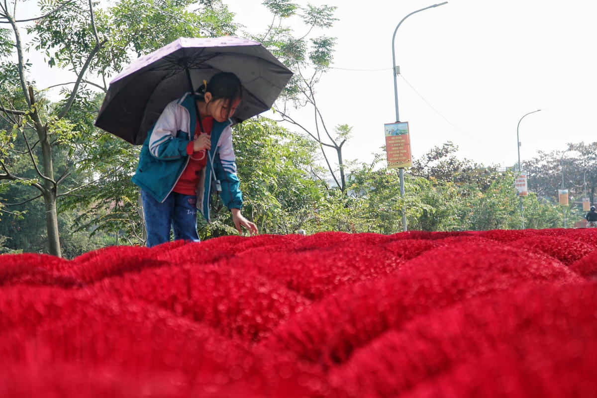 Hà Nội: Người dân làng tăm hương Quảng Phú Cầu tất bật dịp cuối năm