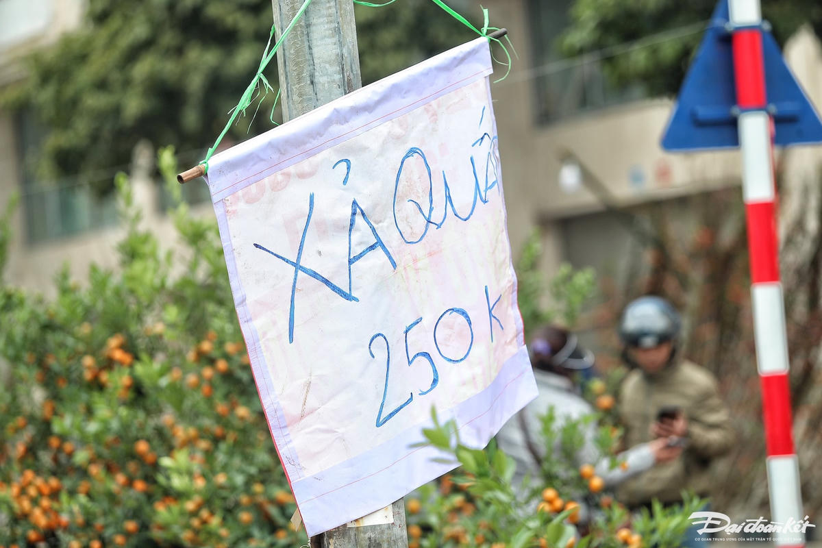 W_dao_quat_xa_lo-le-khanh24.jpg
