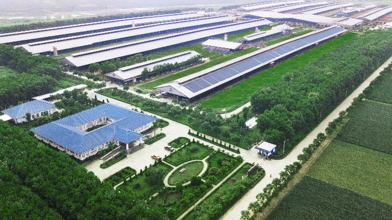 Trang trại sinh thái Vinamilk Green Farm – một điển hình về phát triển bền vững trong nông nghiệp được Vinamilk xây dựng.