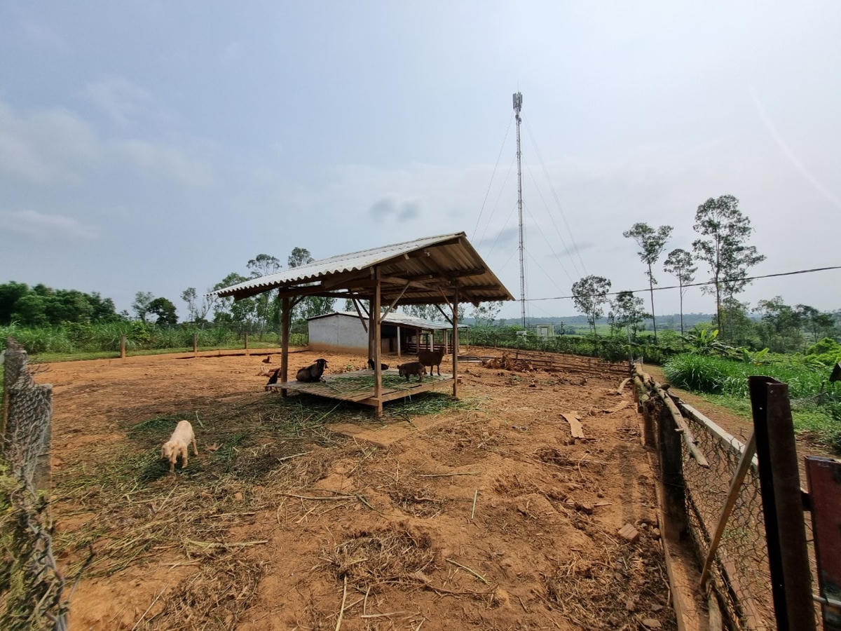 Khu nuôi heo ở trang trại thuộc thôn Lộc Ninh, xã Tam Thành.