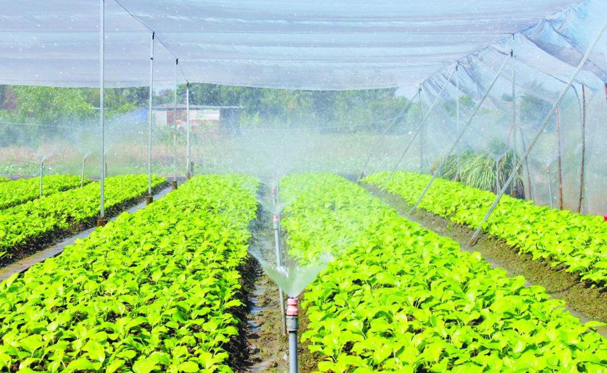 Đẩy mạnh phát triển công nghệ cao trong nông nghiệp.