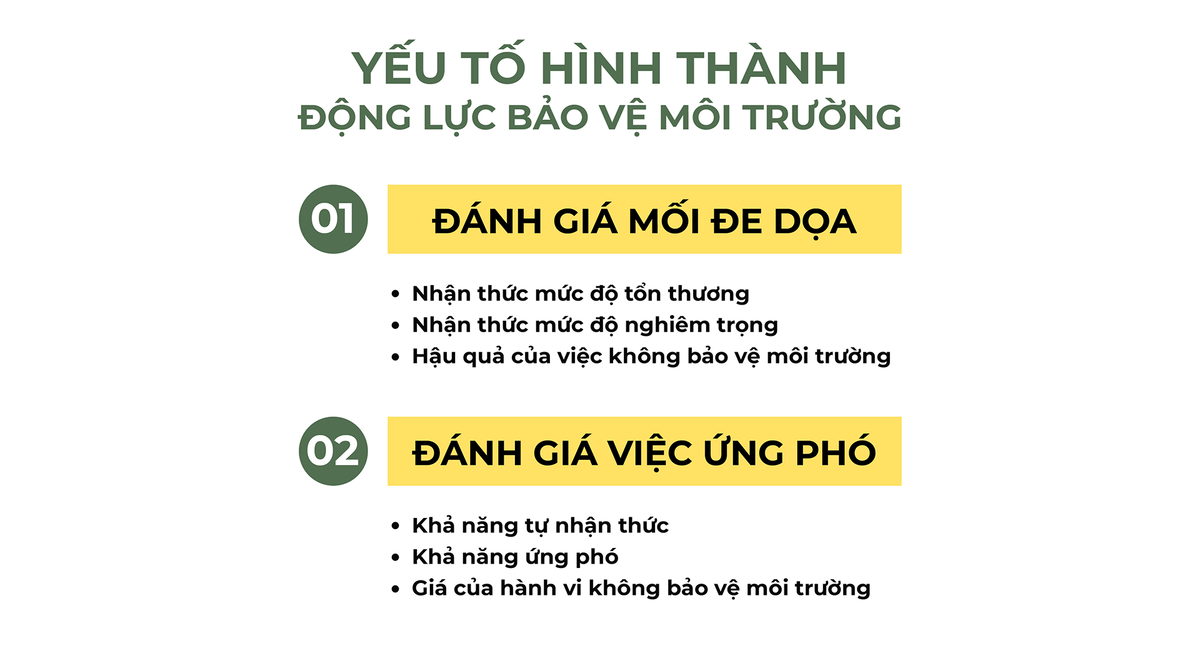 Cắm trại xanh – Dã ngoại sạch
