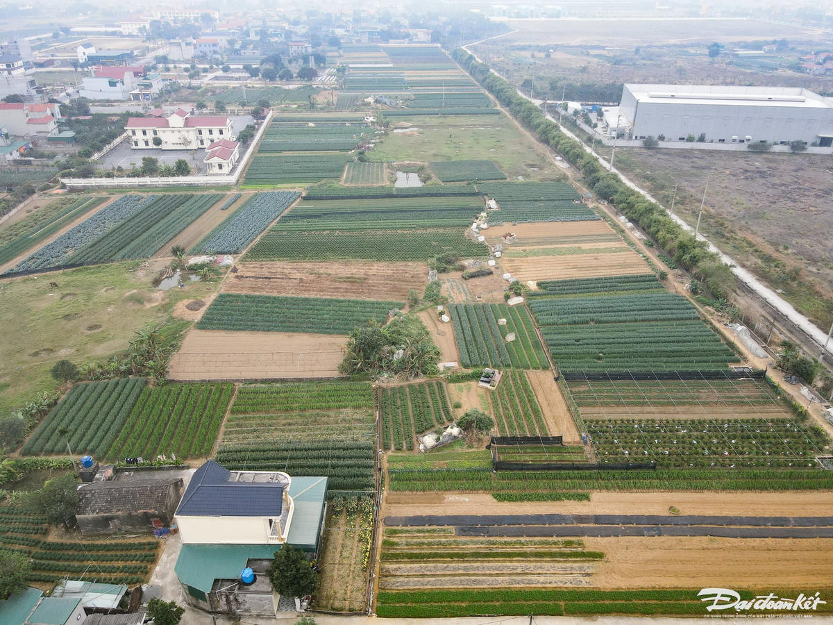 dji_fly_20241230_141252_956_1735542987518_photo.jpg