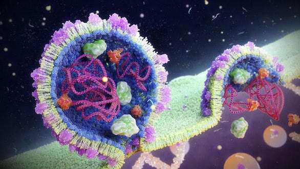 Hình ảnh virus RNA. Ảnh: ALPES HOLIDAY.