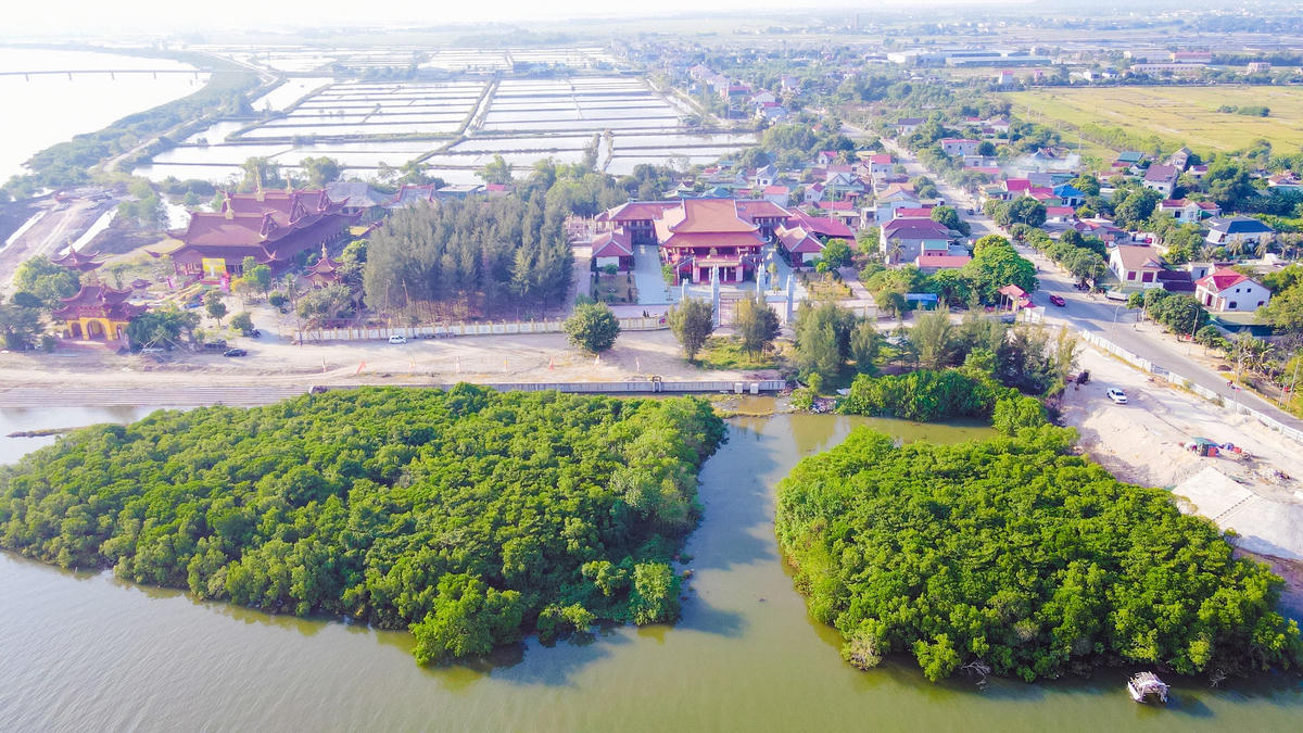 Rừng ngập mặn nếu phát triển tốt sẽ góp phần giúp chống lại thiên tai, giảm xói lở và bảo vệ đất, giảm ô nhiễm, hạn chế các tác động tiêu cực của biến đổi khí hậu và bảo vệ sinh kế cho con người.