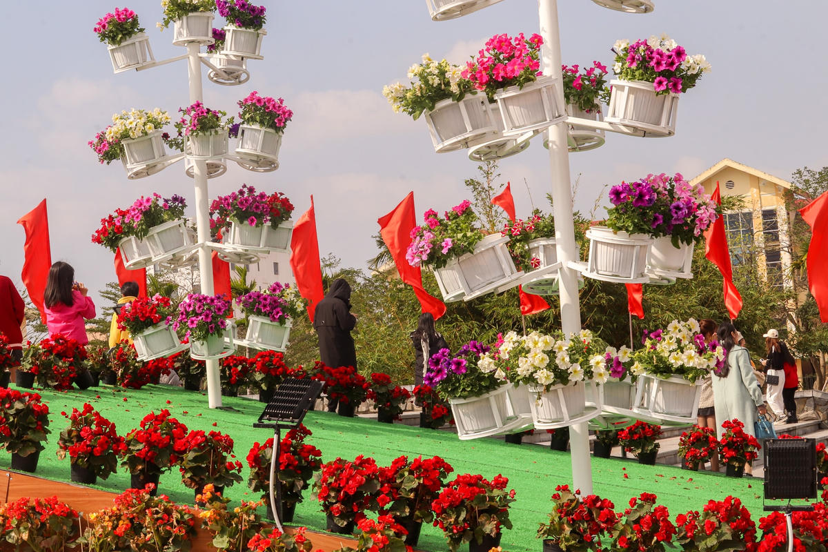 Hàng chục loài hoa tươi mang nhiều màu sắc được bài trí sinh động, tạo nên sắc xuân giữa lòng TP.Đồng Hới (tỉnh Quảng Bình).