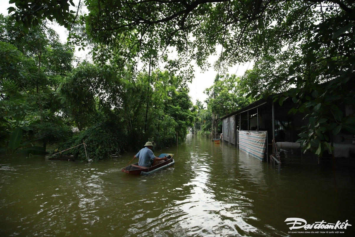 lu_lut-le-khanh14.jpg