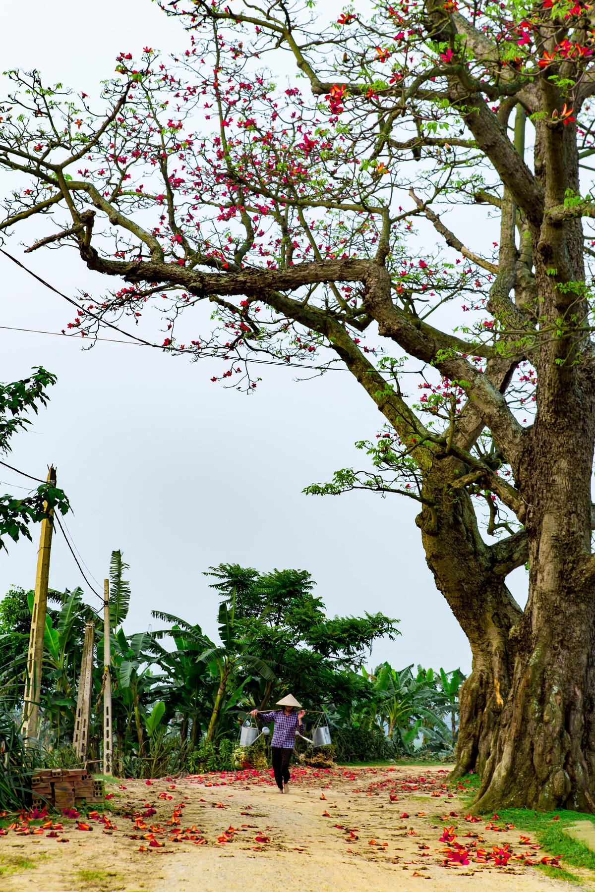 Bình yên. 